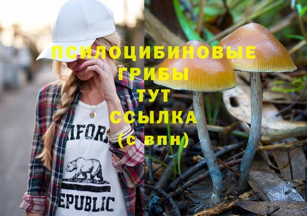 амфетамин Богданович