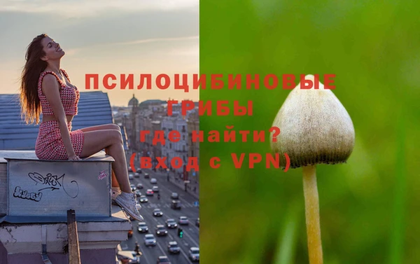 MDMA Premium VHQ Богородск