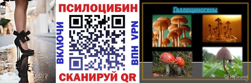 Галлюциногенные грибы Psilocybine cubensis Балашиха